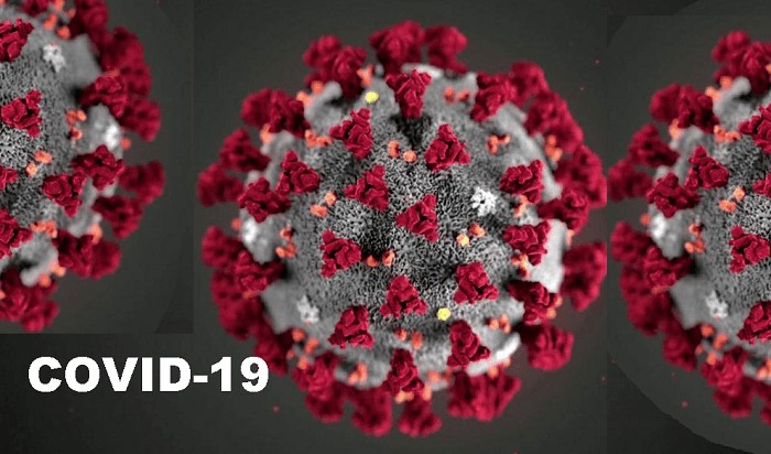 Coronavirus COVID-19