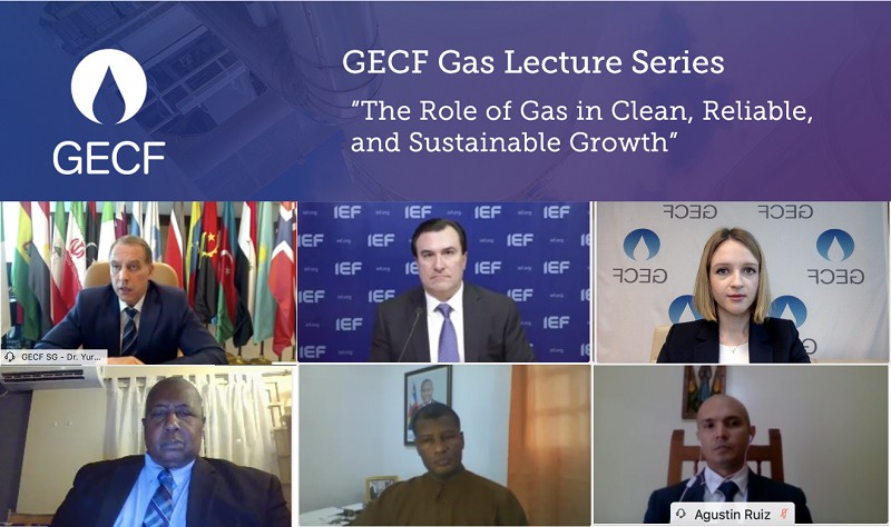 17 - GECF Lecture IEF