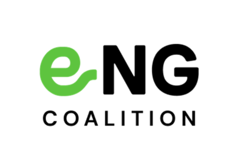 Mitsubishi Corporation y 7 grandes del sector energía crean alianza para la creación de e-NG