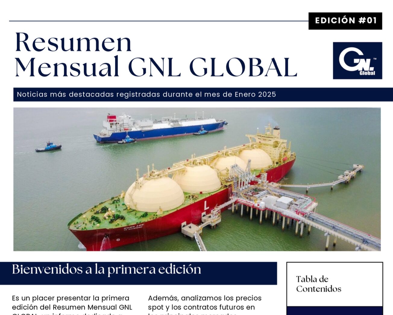 Resumen Mensual GNL GLOBAL | Enero 2025