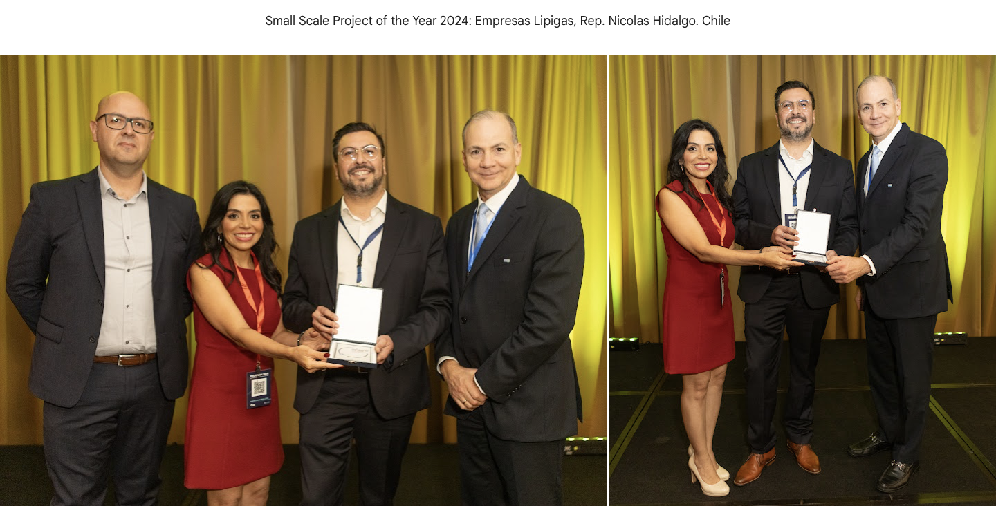 Small and Mid-Scale Project of the Year 2024